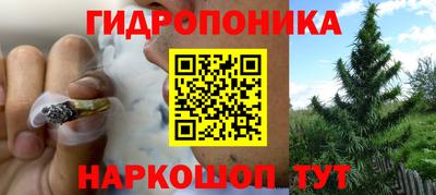 шишки Бузулук