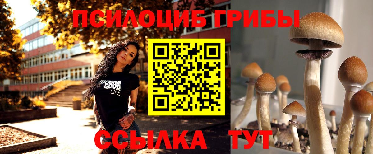 Рузаевка  Галлюциногенные грибы Psilocybe  Вход с VPN 